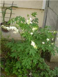 2d6115ef-Picture 7166.jpg